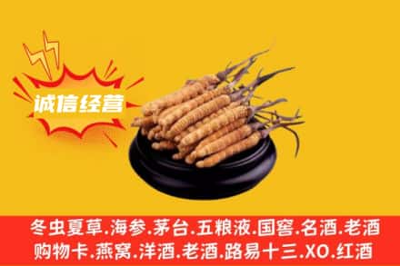 嘉兴回收冬虫夏草